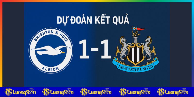 Dự đoán kết quả trận Brighton vs Newcastle