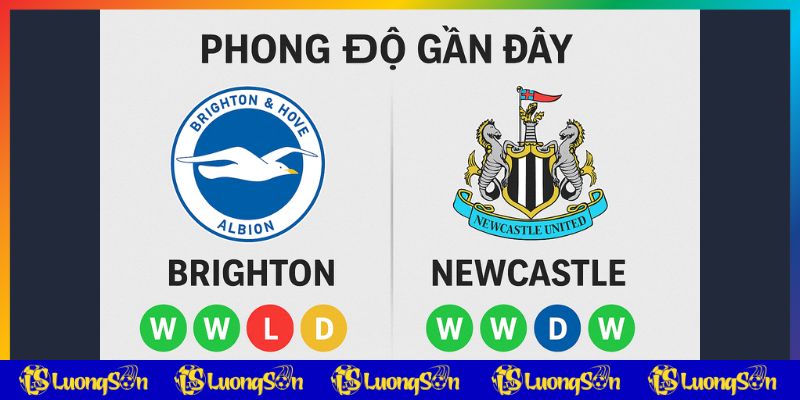 Phong độ gần đây của 2 đội Brighton vs Newcastle